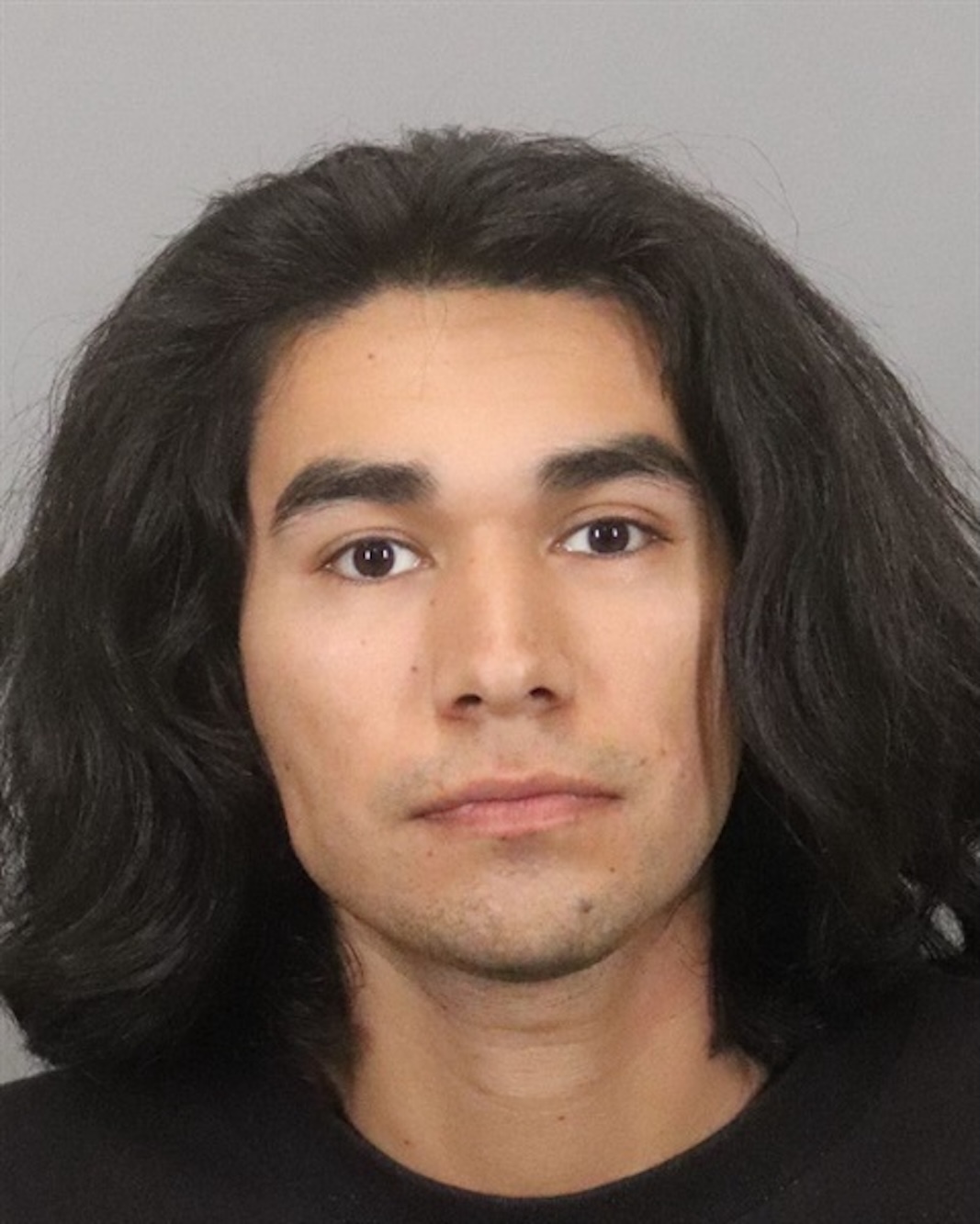 Palo Alto: Police Arrest Sj Man Accused Of Kicking, Trying To Rob Woman