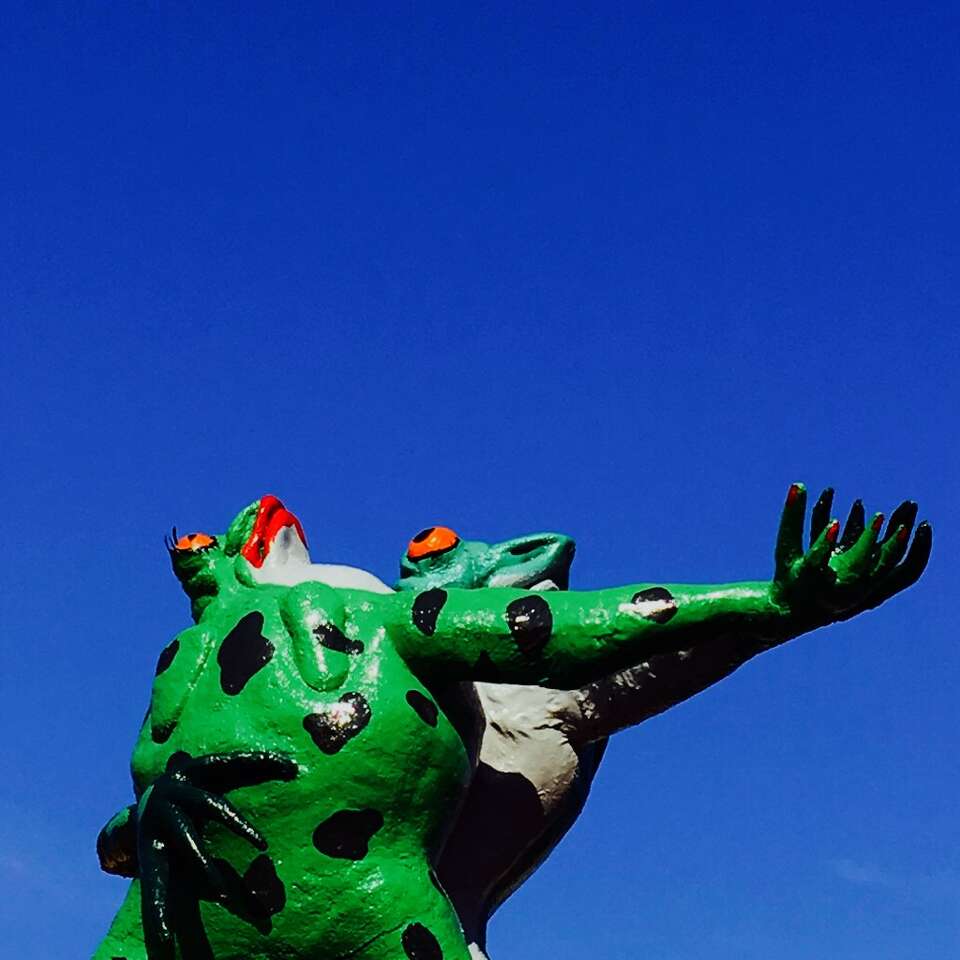 Why are there giant frogs on top of a Lower Greenville Taco Cabana