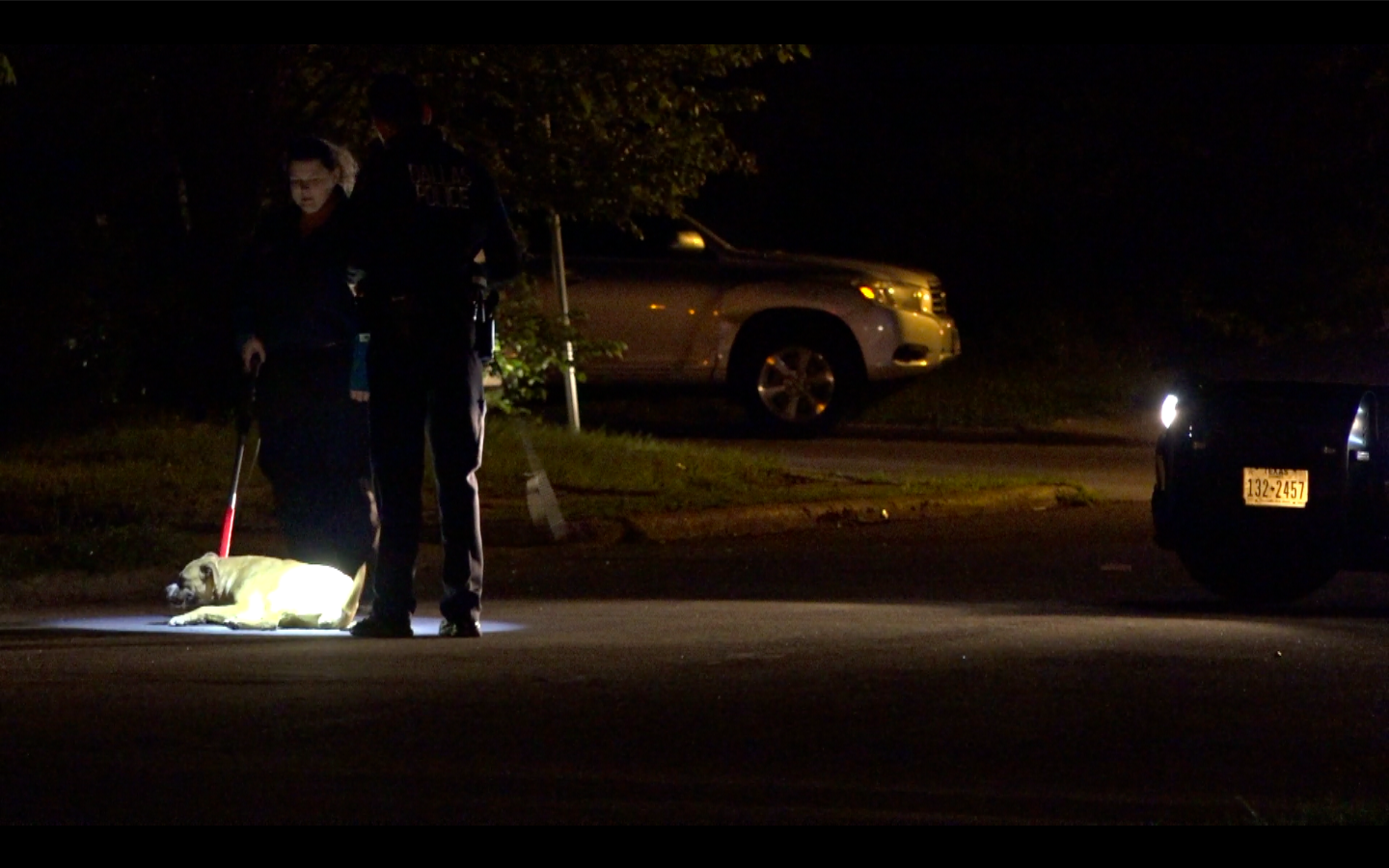 4 dogs euthanized after woman was mauled in South Dallas