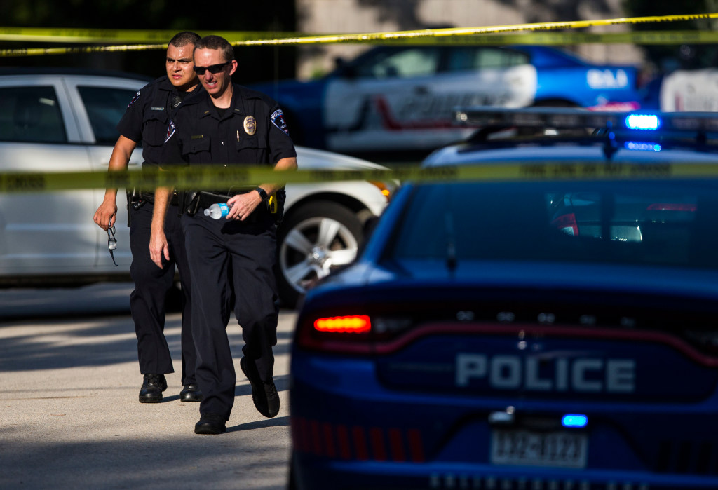 Man who stole car, led police on chase after fight with brother killed ...