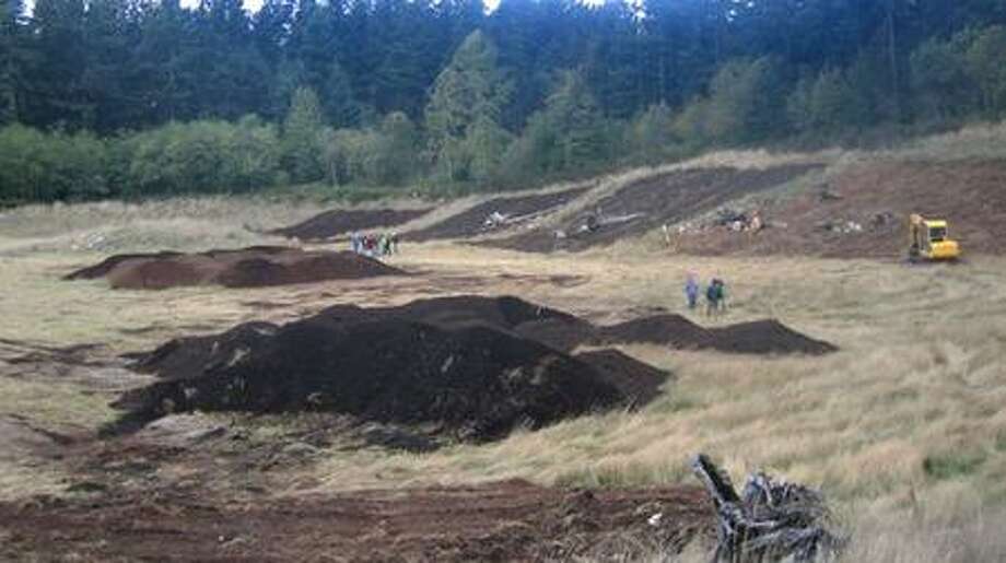 A forest and a 'carbon sink' grow on Vashon