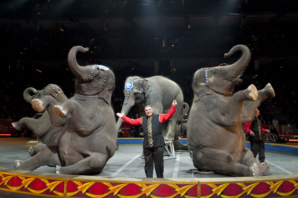 Warped Tour, the circus, summer salsa & more: Our Top 5 things to do in ...
