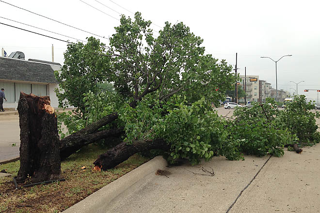 Cleanup efforts underway after strong storms Thursday