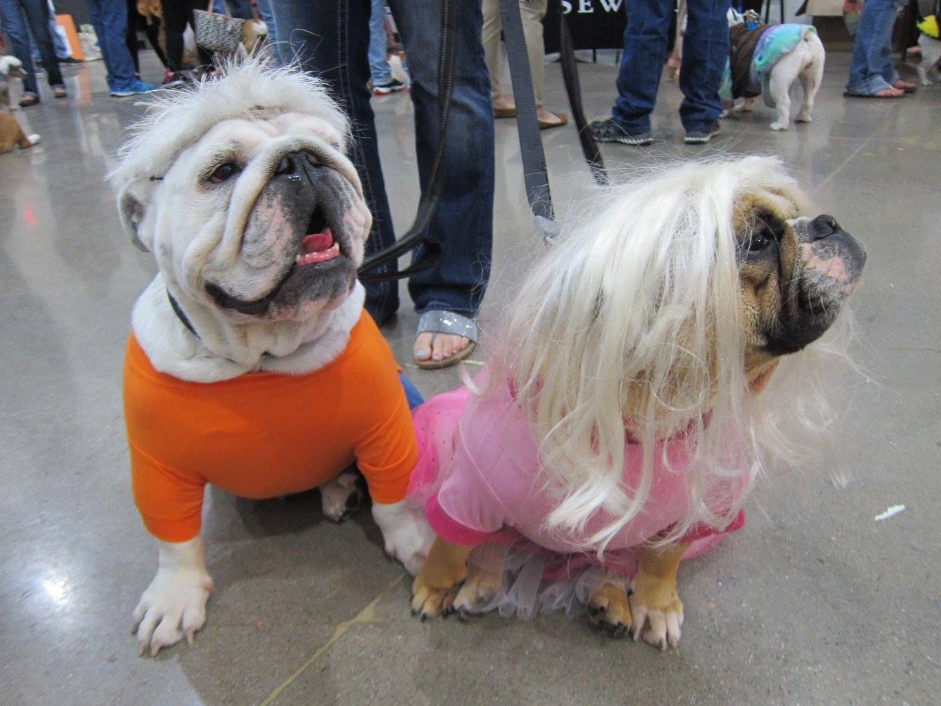 Dog About Town: Halloween party hopping and more things to do
