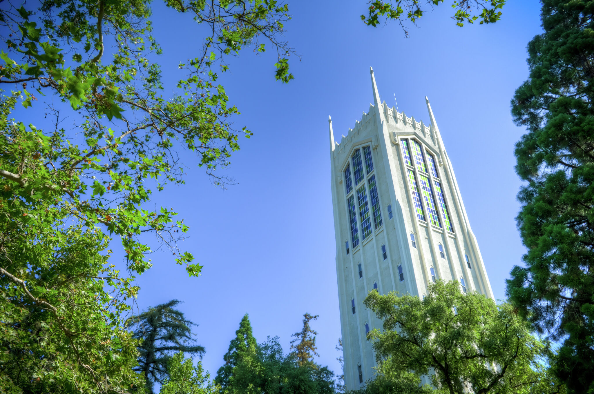 Overlooked Calif. university is the background for Steve Carell's new HBO show