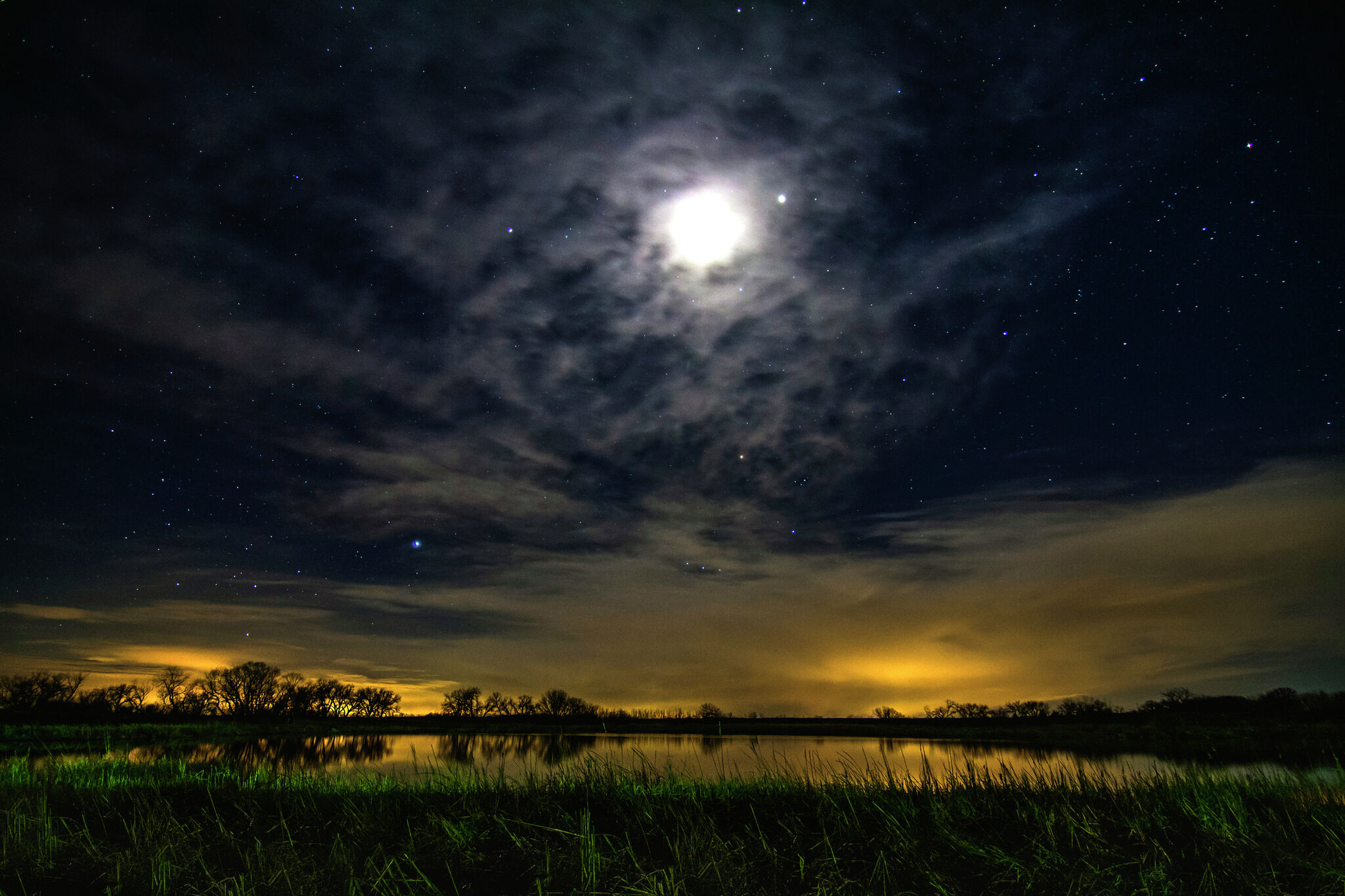 Horoscope for Thursday, 3/12/26 by Georgia Nicols - CT Insider image