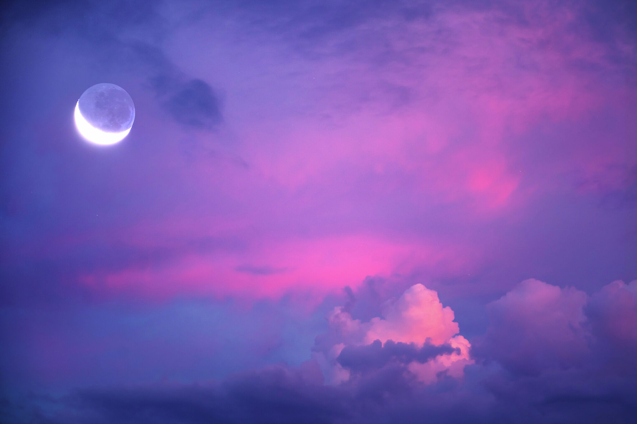 Horoscope for Saturday, 3/14/26 by Georgia Nicols - CT Insider