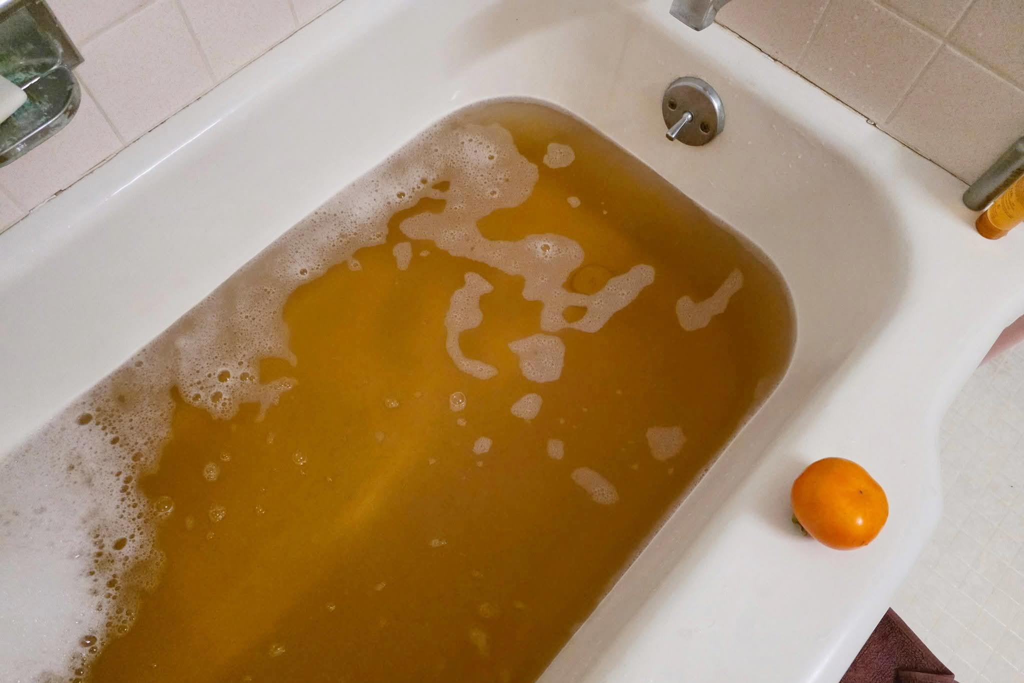 Mid-Atlantic Sportswatch Daily Listings