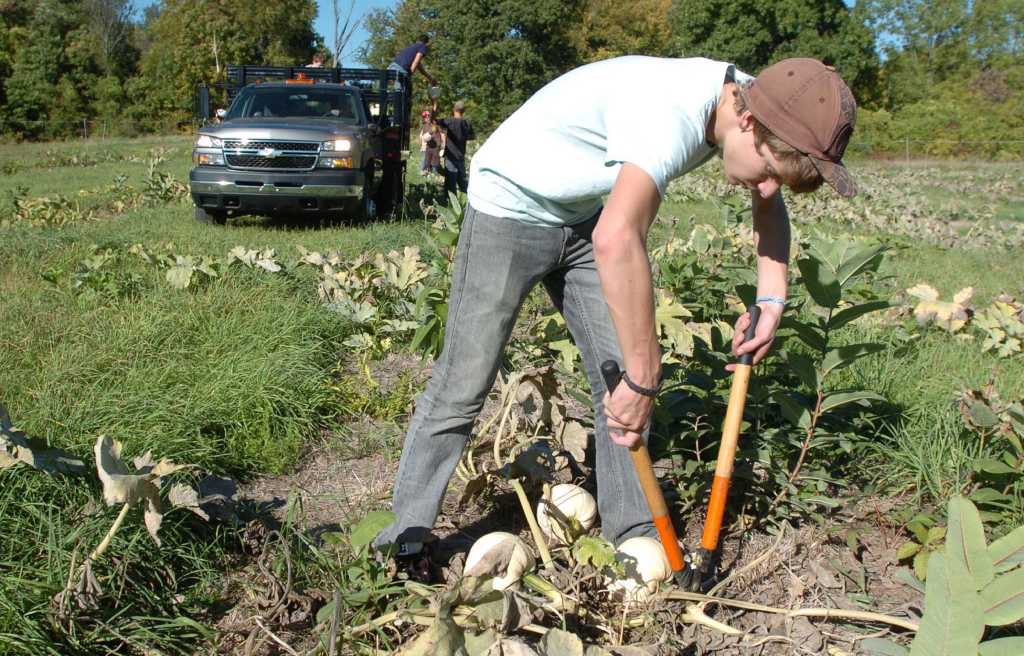 New Milford's Sullivan Farm Might Come Under New Management