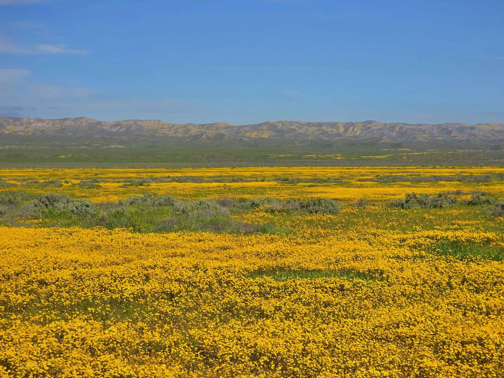 One of California