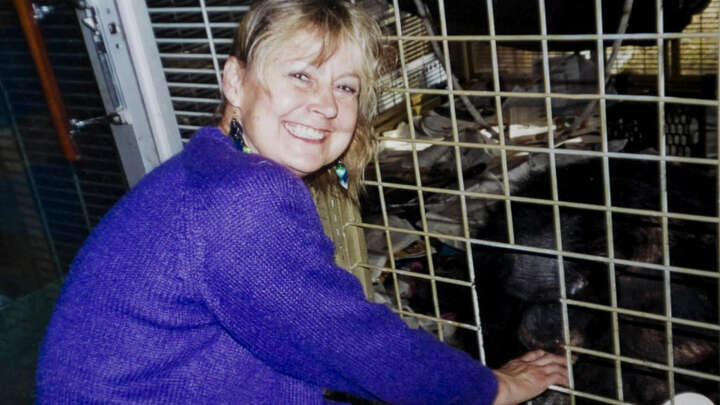 'Chimp Crazy' doc details 2009 Stamford chimp attack of Charla Nash