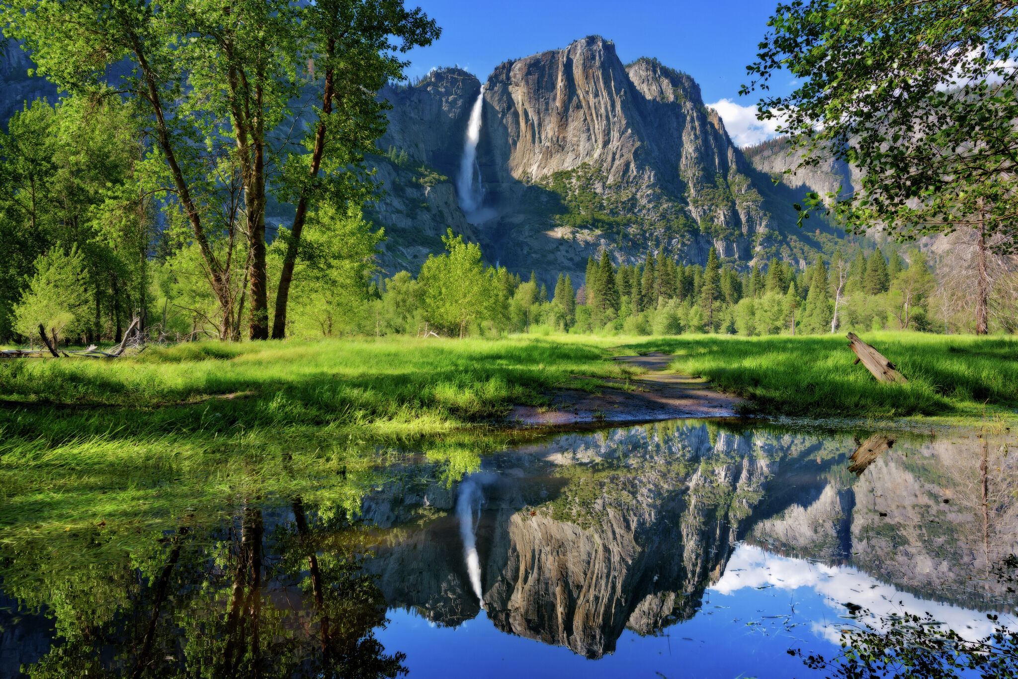 sfgate.com - Katie Dowd - 1855 sketch that launched Yosemite to stardom back in the public eye