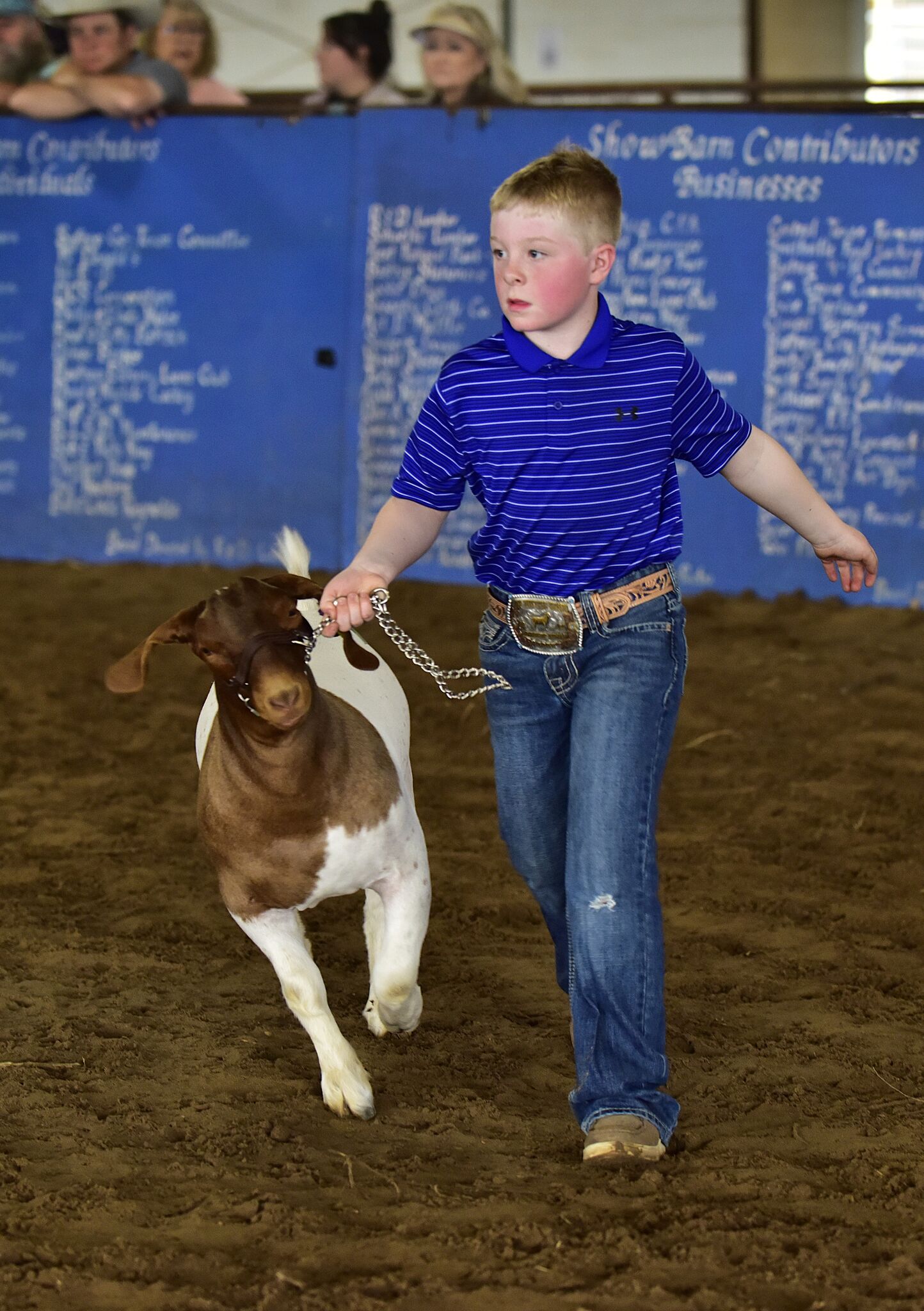 Students show off their animals at the Bastrop Area Livestock Show