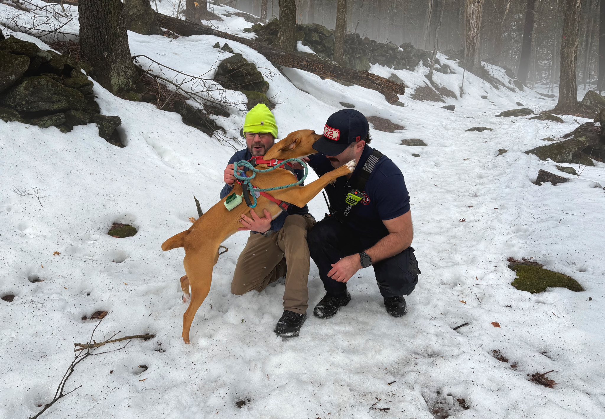 Dog rescued after falling from Hudson Valley waterfall
