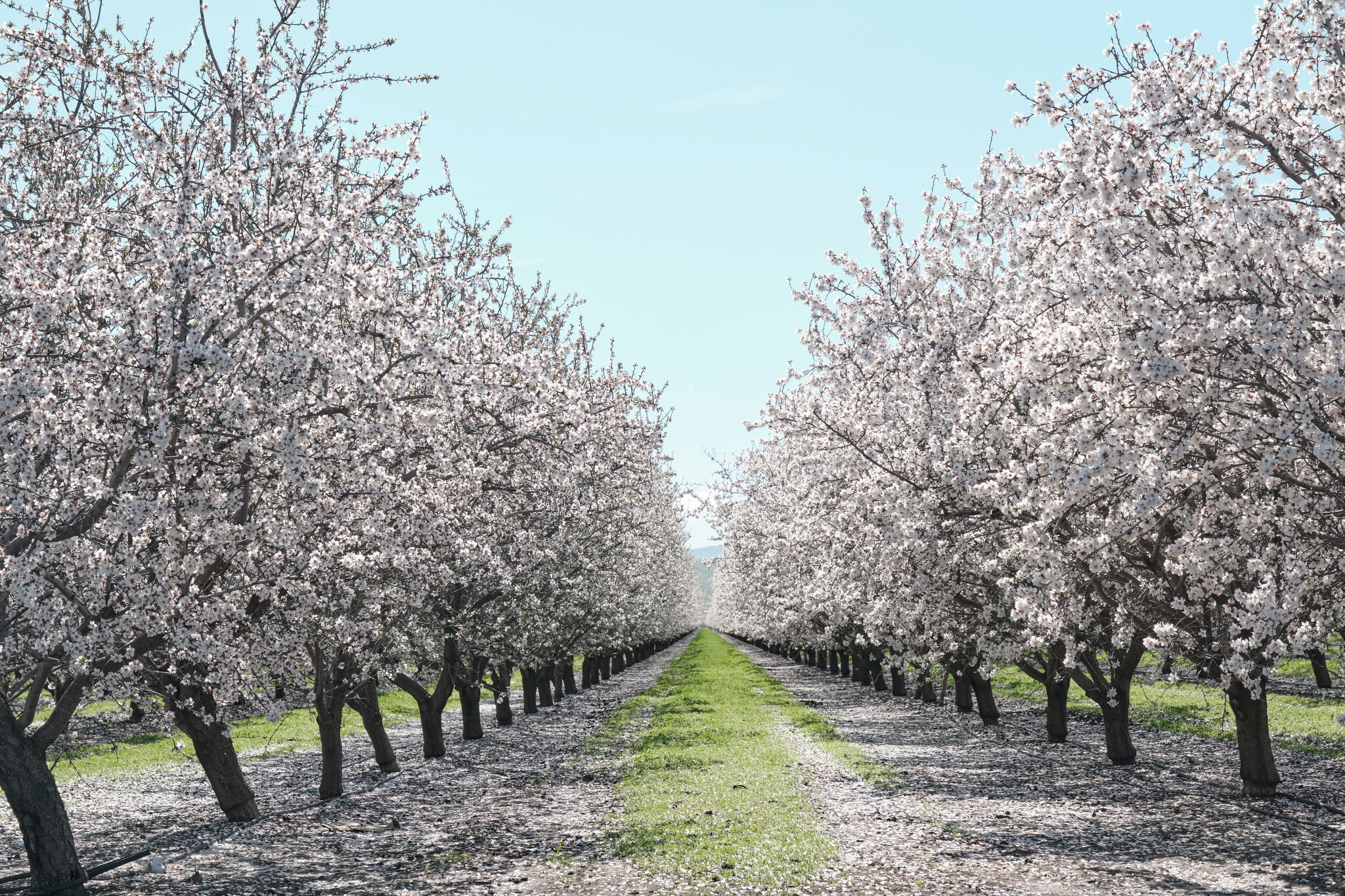 Bay Area's hot and dry weather will make your eyes water
