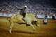 Bodacious the Bull became the first animal to be inducted into the RodeoHouston Hall of Fame on Tuesday.