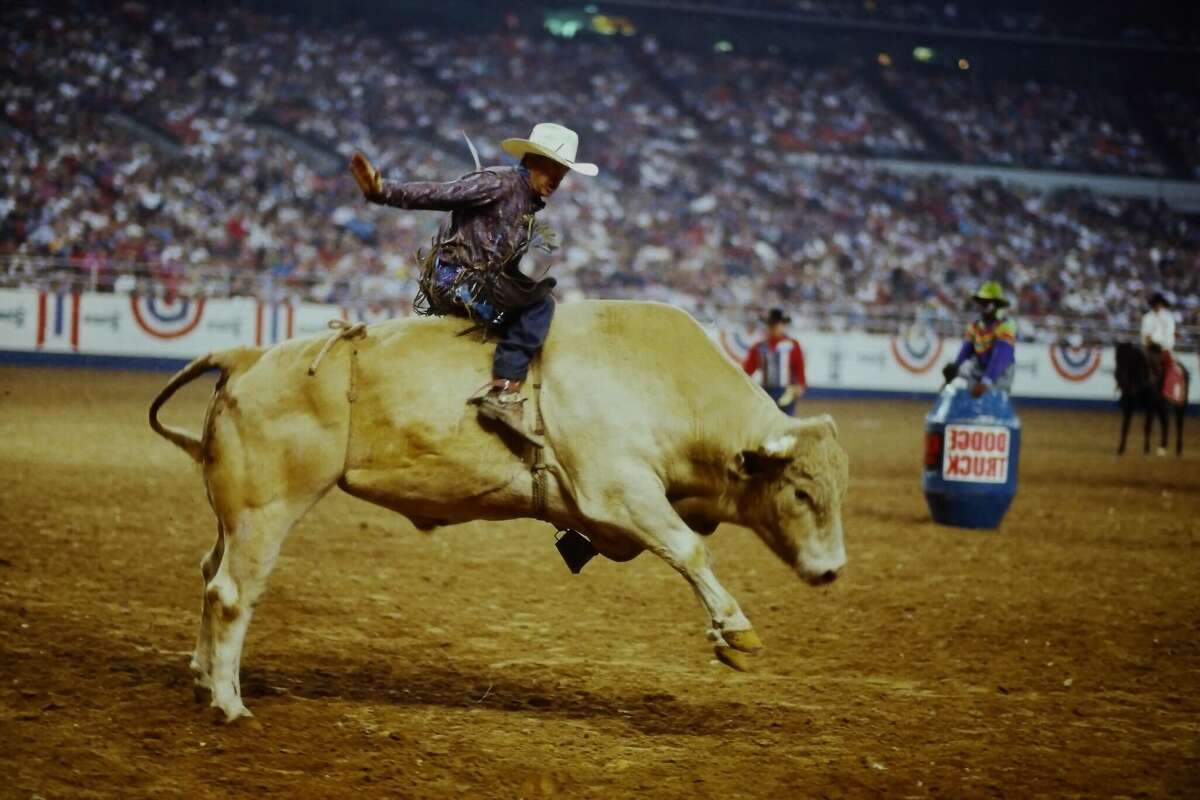 Bodacious the Bull became the first animal to be inducted into the RodeoHouston Hall of Fame on Tuesday. 