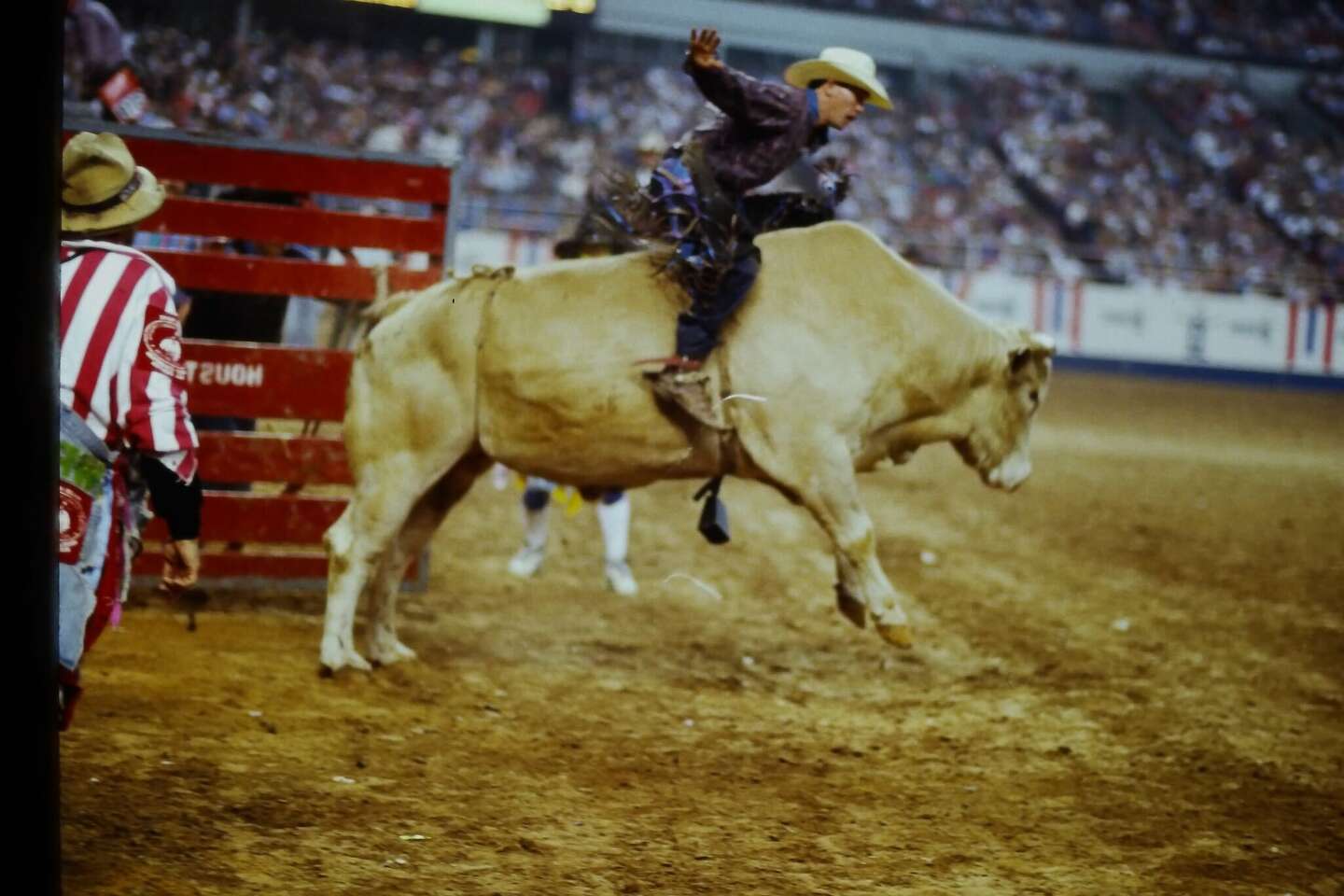 RodeoHouston honors bull as first animal in Hall of Fame class