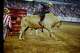 "I always say he was like the Shaquille O'Neal of bulls. He wasn't a mean bull — he didn't really try to go after guys or hurt guys, but it was just due to the way that he bucked." — Legendary rodeo cowboy Ty Murray on the legacy of Murray said of Bodacious, who was inducted into the RodeoHouston Hall of Fame on Tuesday.