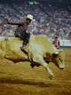 "I always say he was like the Shaquille O'Neal of bulls. He wasn't a mean bull — he didn't really try to go after guys or hurt guys, but it was just due to the way that he bucked." — Legendary rodeo cowboy Ty Murray on the legacy of Murray said of Bodacious, who was inducted into the RodeoHouston Hall of Fame on Tuesday.