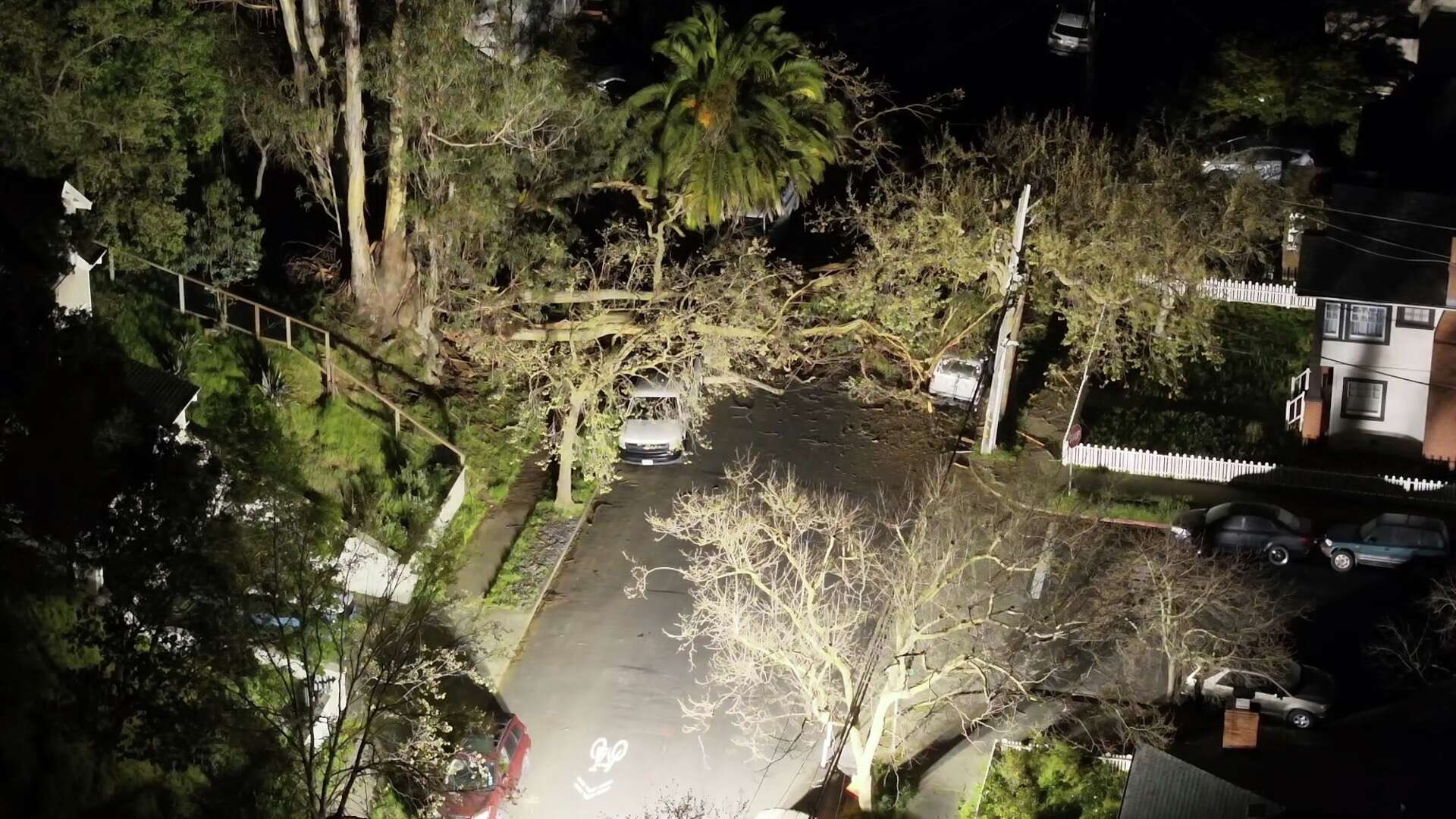 San Rafael: Fallen Tree Knocks Out Power, Blocks Road In Gerstle Park ...