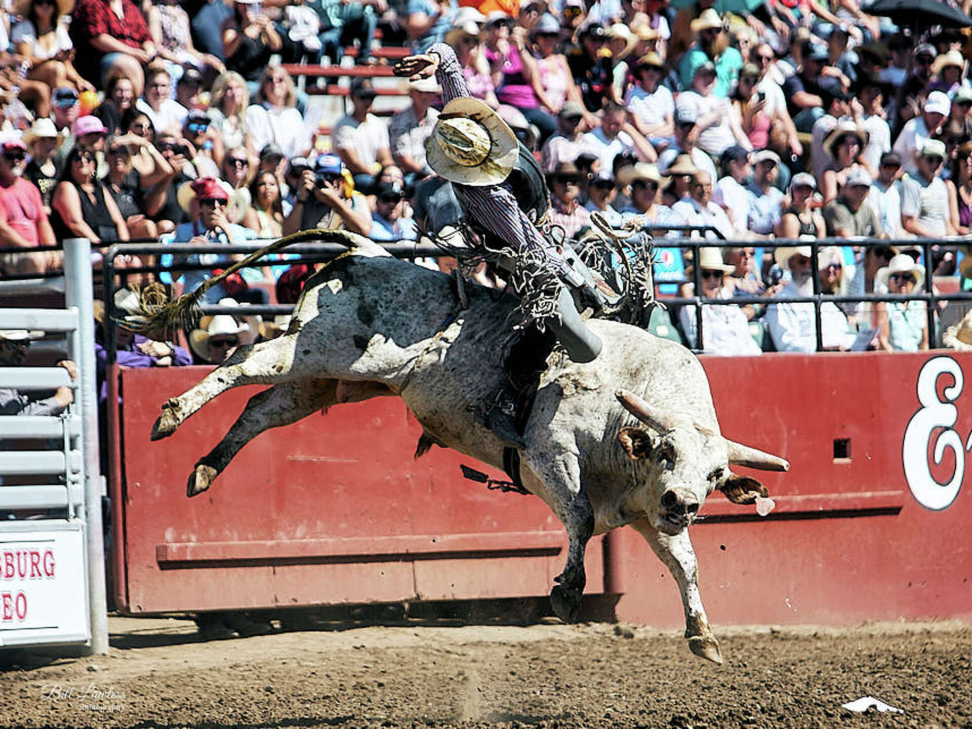 Bull rider survives rare heart injury after Rodeo Austin accident