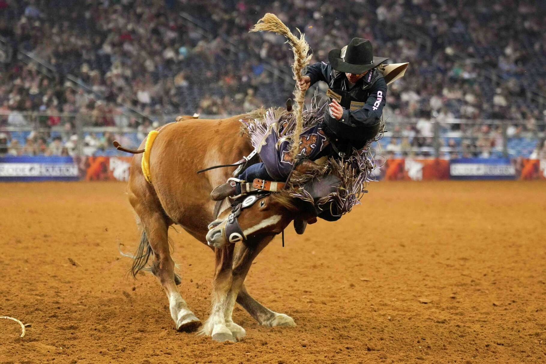 Logan Hay gets thrown from the front of his horse 'Preasure Cooker' while still attached to his saddle while competing in saddle bronc during Super Series IV Round 2 at RodoeHouston, Thursday, March 12, 2026.
