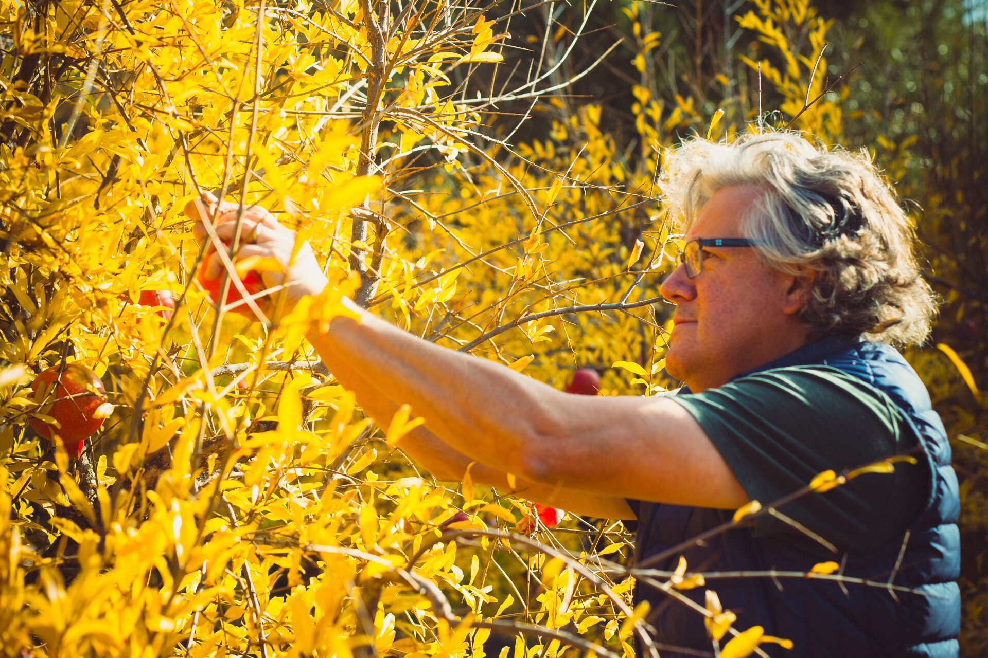 sfchronicle.com - Jess Lander - The co-founder of Chicago's influential Alinea is opening a Napa Valley wine bar