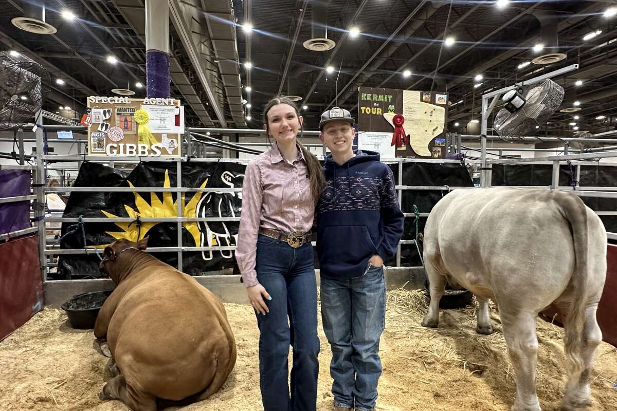 Ava Baldwin of Frisco, Texas showed her steer, Gibbs, during a competition this week. 
