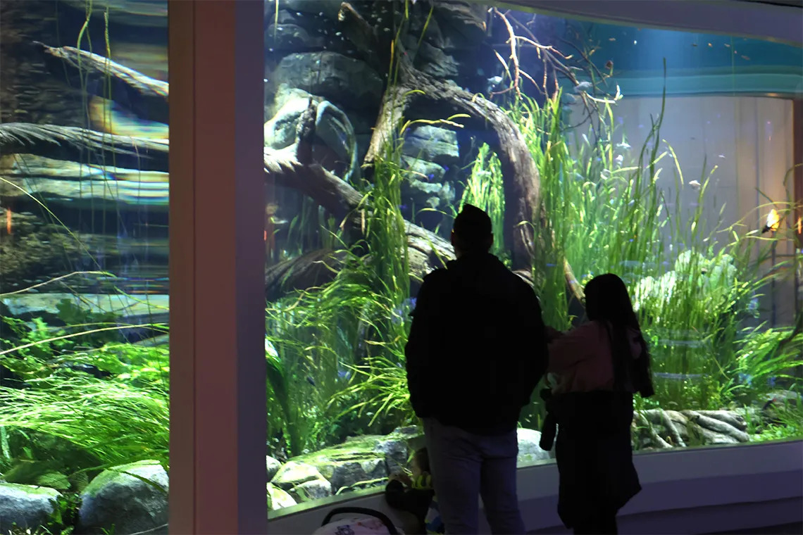 Responding to federal threat, legislation would protect Illinois waterways