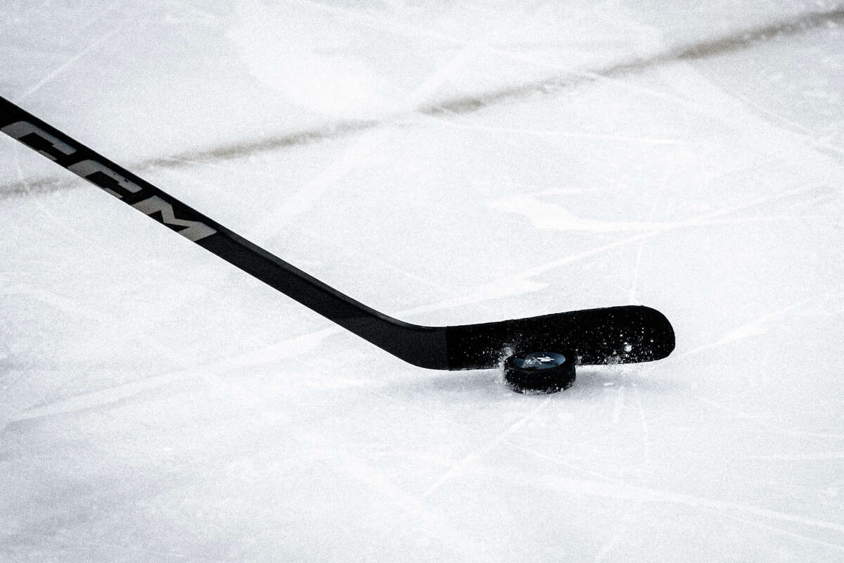 The city of Houston finally lands a professional hockey team. 