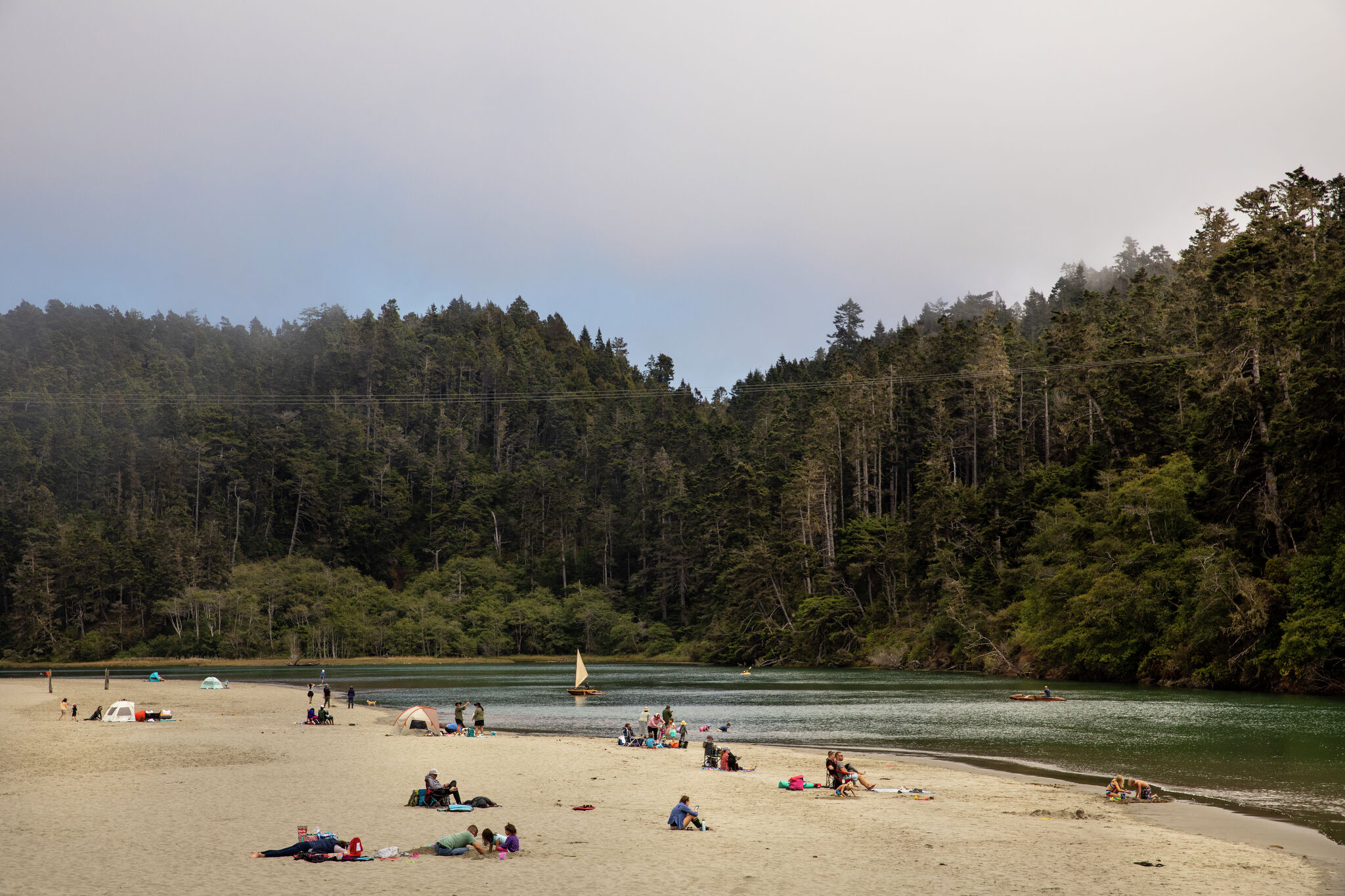 Shark attack at California beach leaves surfer hospitalized