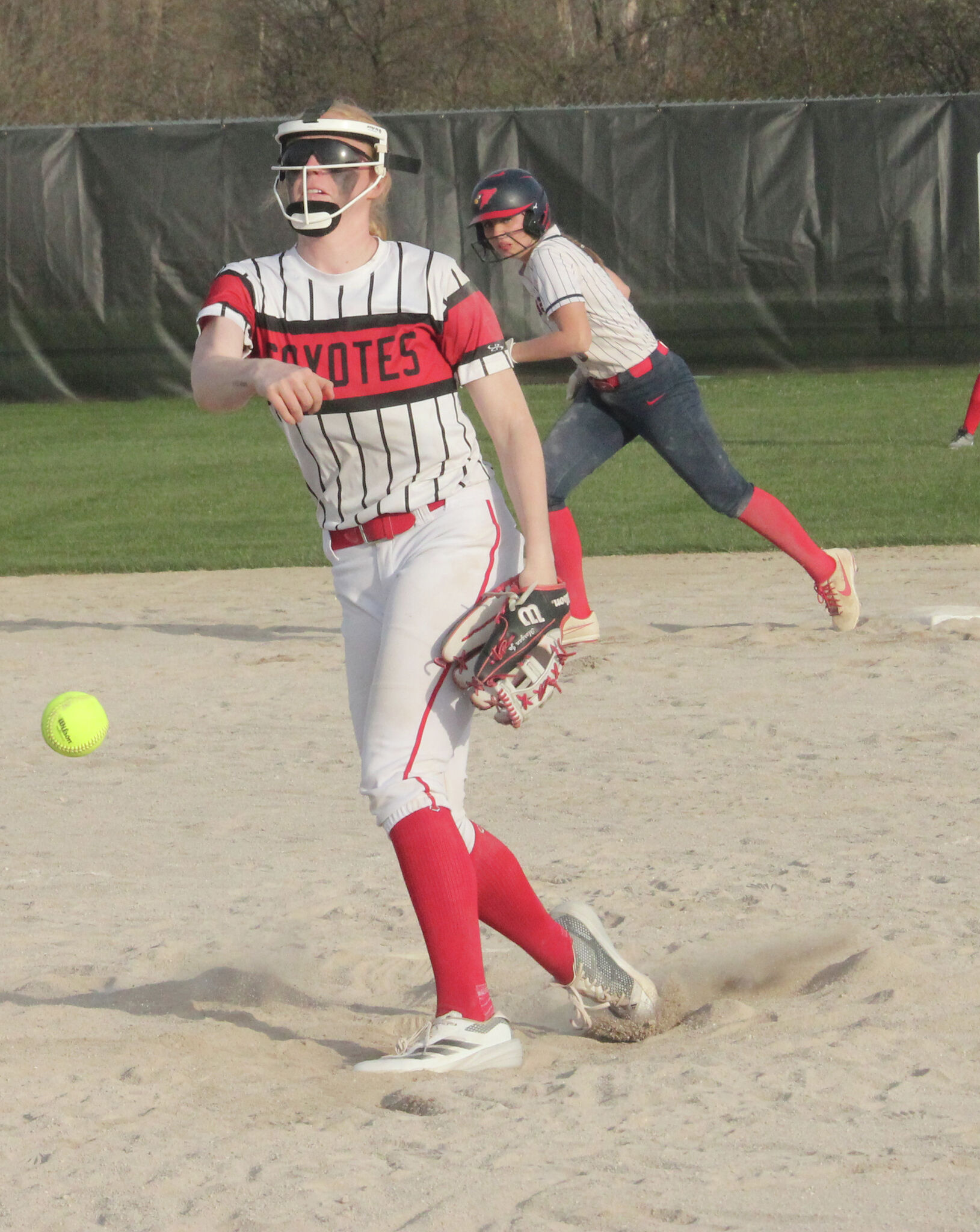 Reed City softball coach happy with numbers