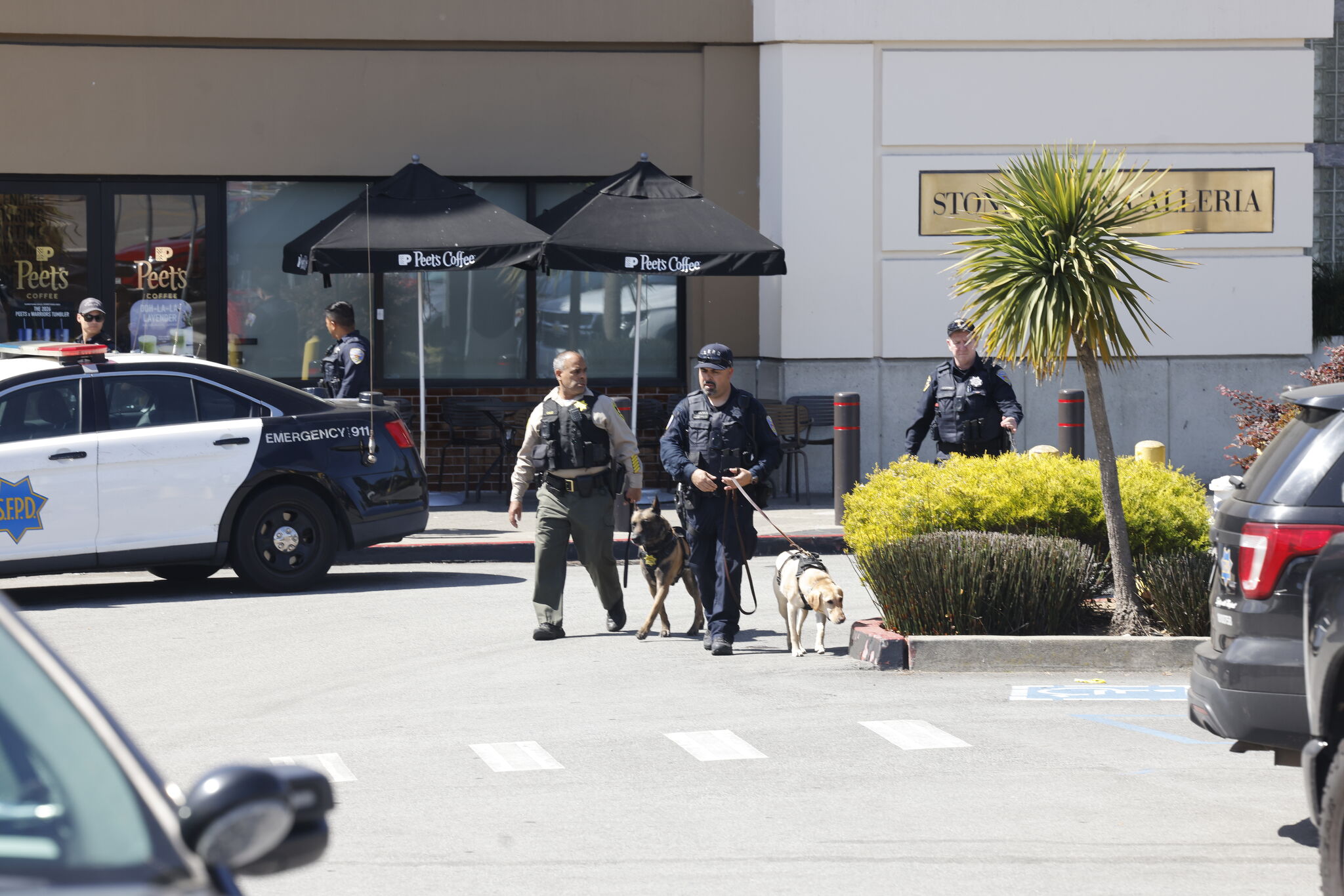 Stonestown Galleria evacuated due to person making threats