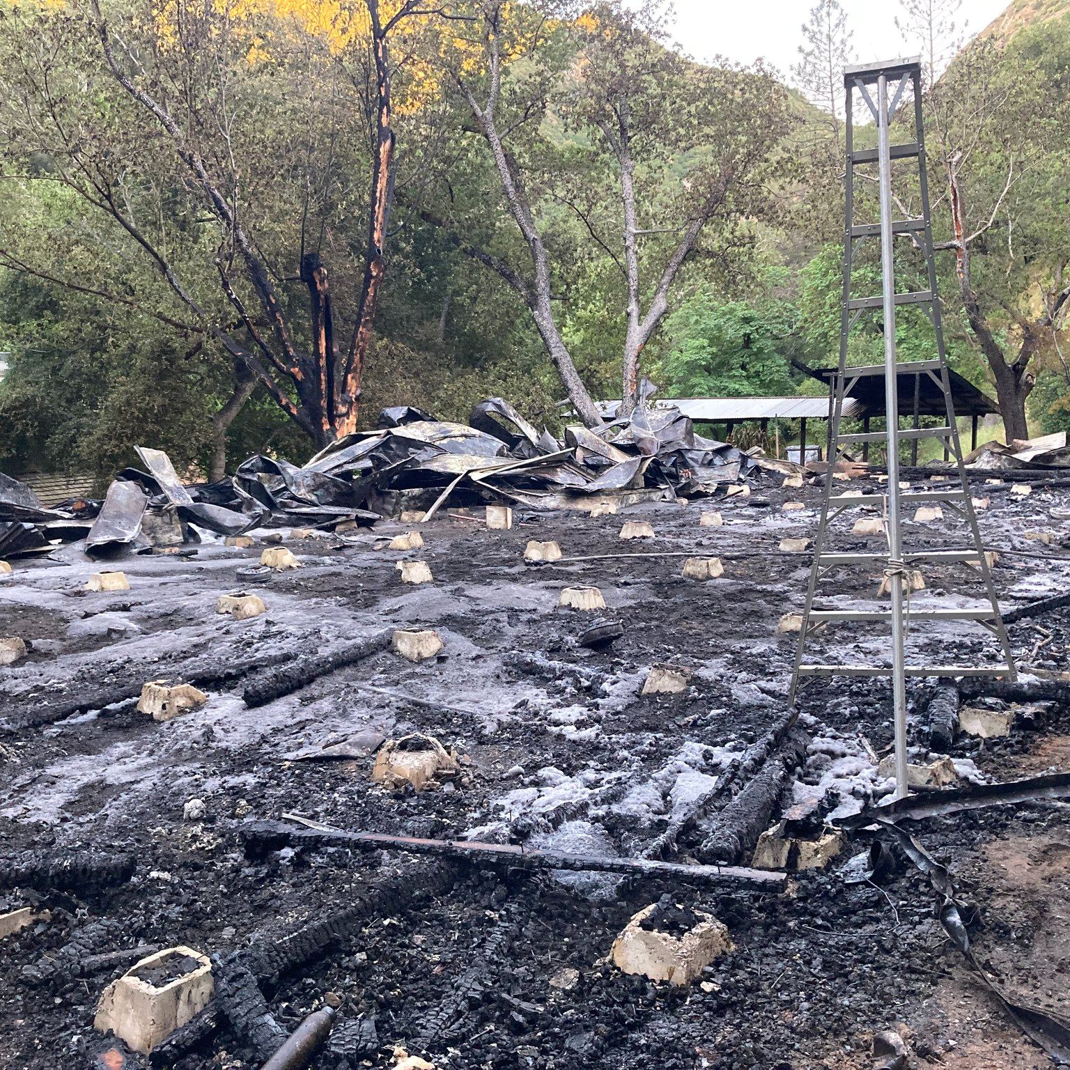 A 36-year-old woman from Mountain View faces arson and hate crime charges in connection with a fire that destroyed an ancient Buddha statue and meditation center at a remote monastery near Big Sur.
