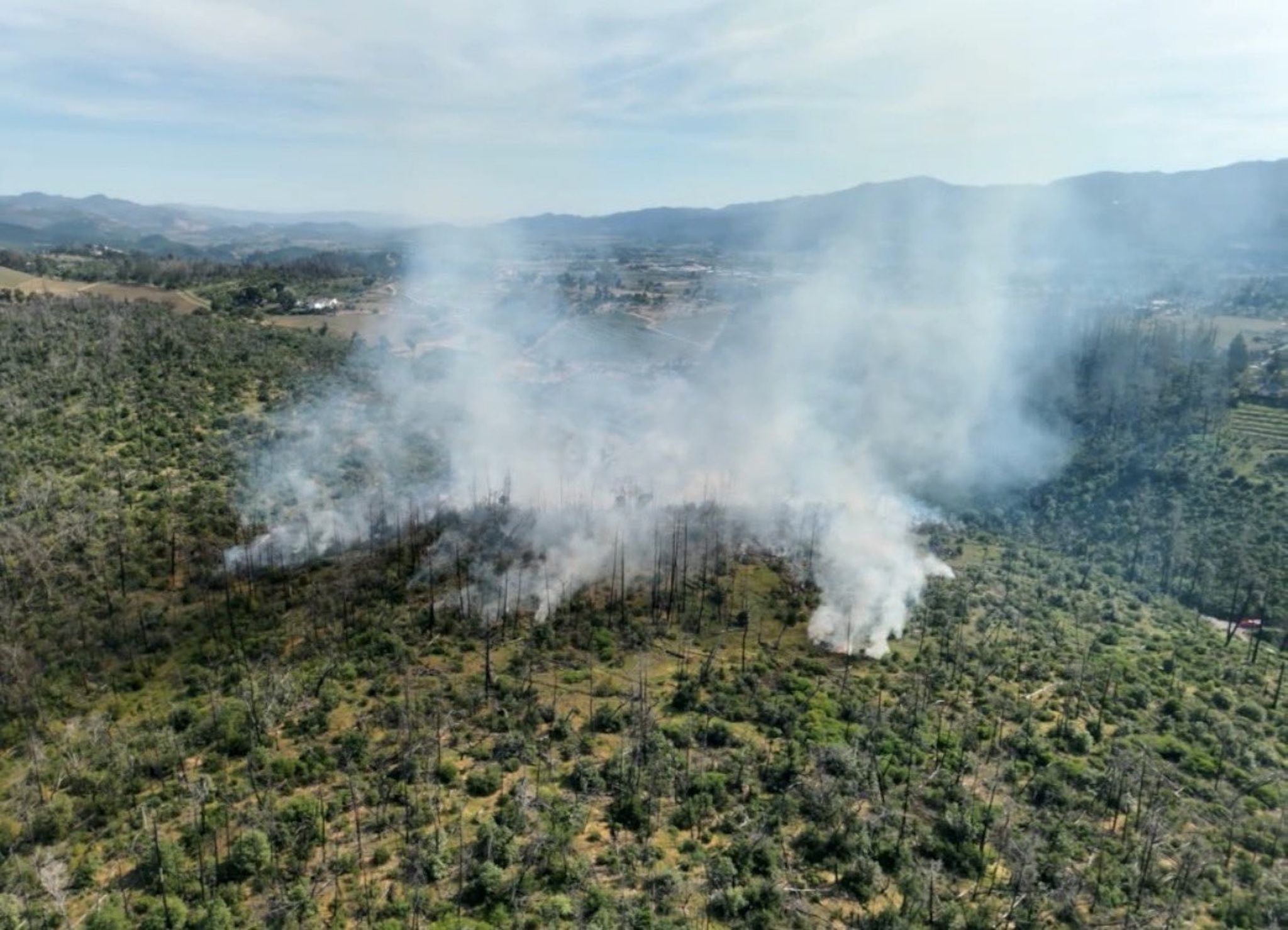 Napa Co.: Update: Cal Fire Contains 12.5-Acre Vegetation Fire In ...