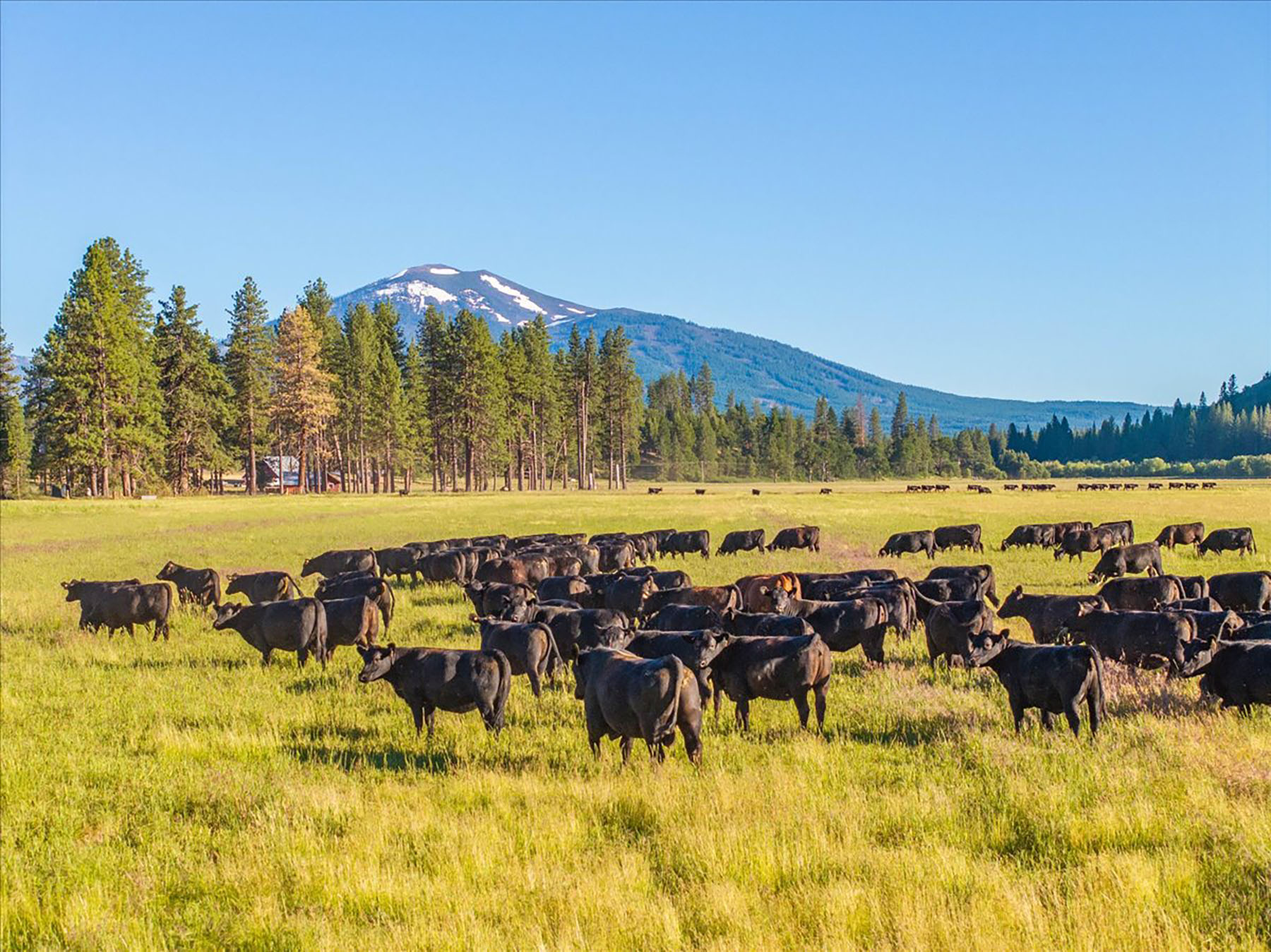 How does a $4.85M California ranch compare to Texas properties?