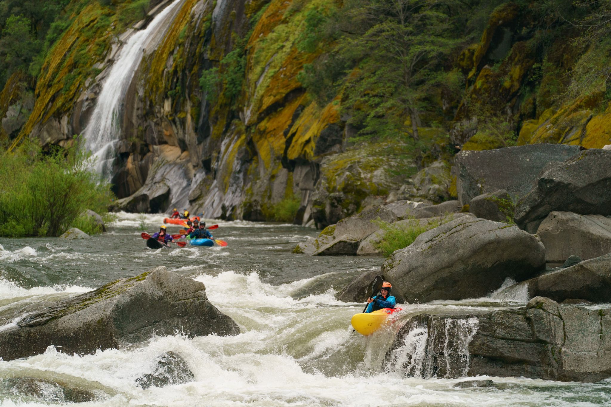 sfchronicle.com - Gregory Thomas - My California whitewater paddling trip was canceled - because of a tiny frog