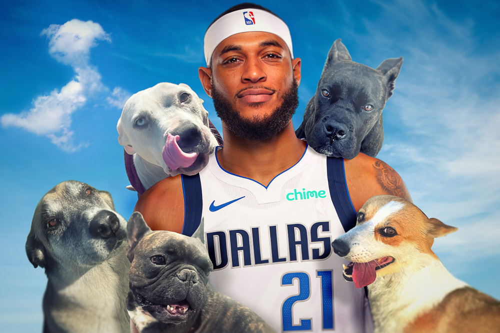 Stars jump all over Jets, ride Jake Oettinger shutout to home win