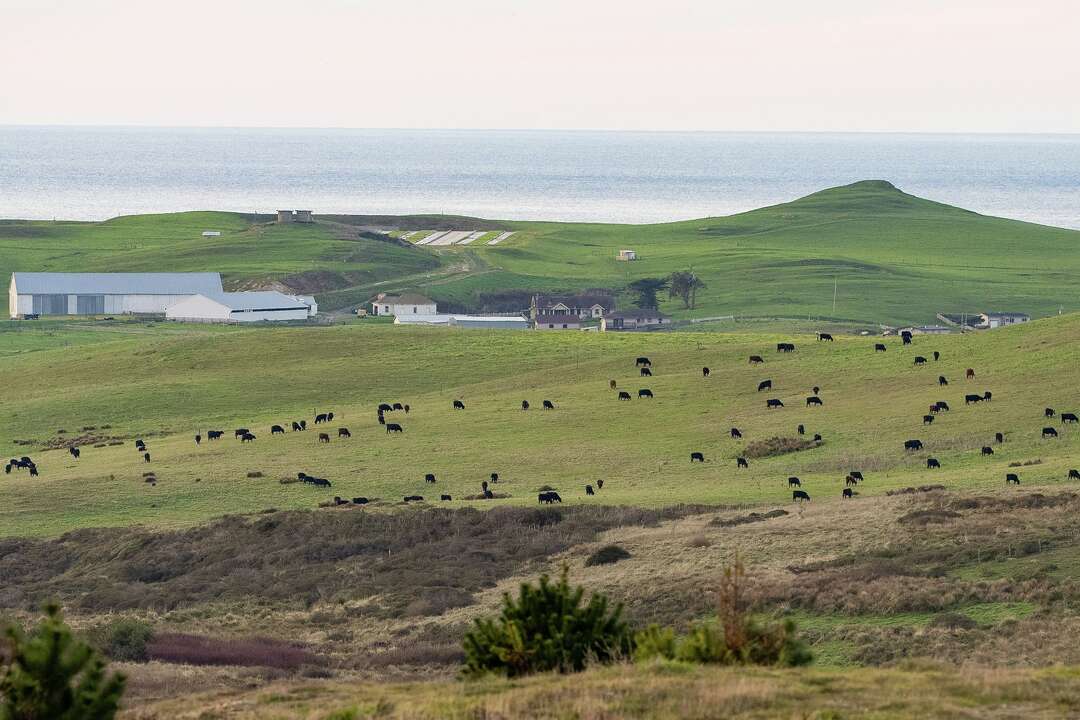 Last days on Point Reyes: Ranching families to depart after 167 years