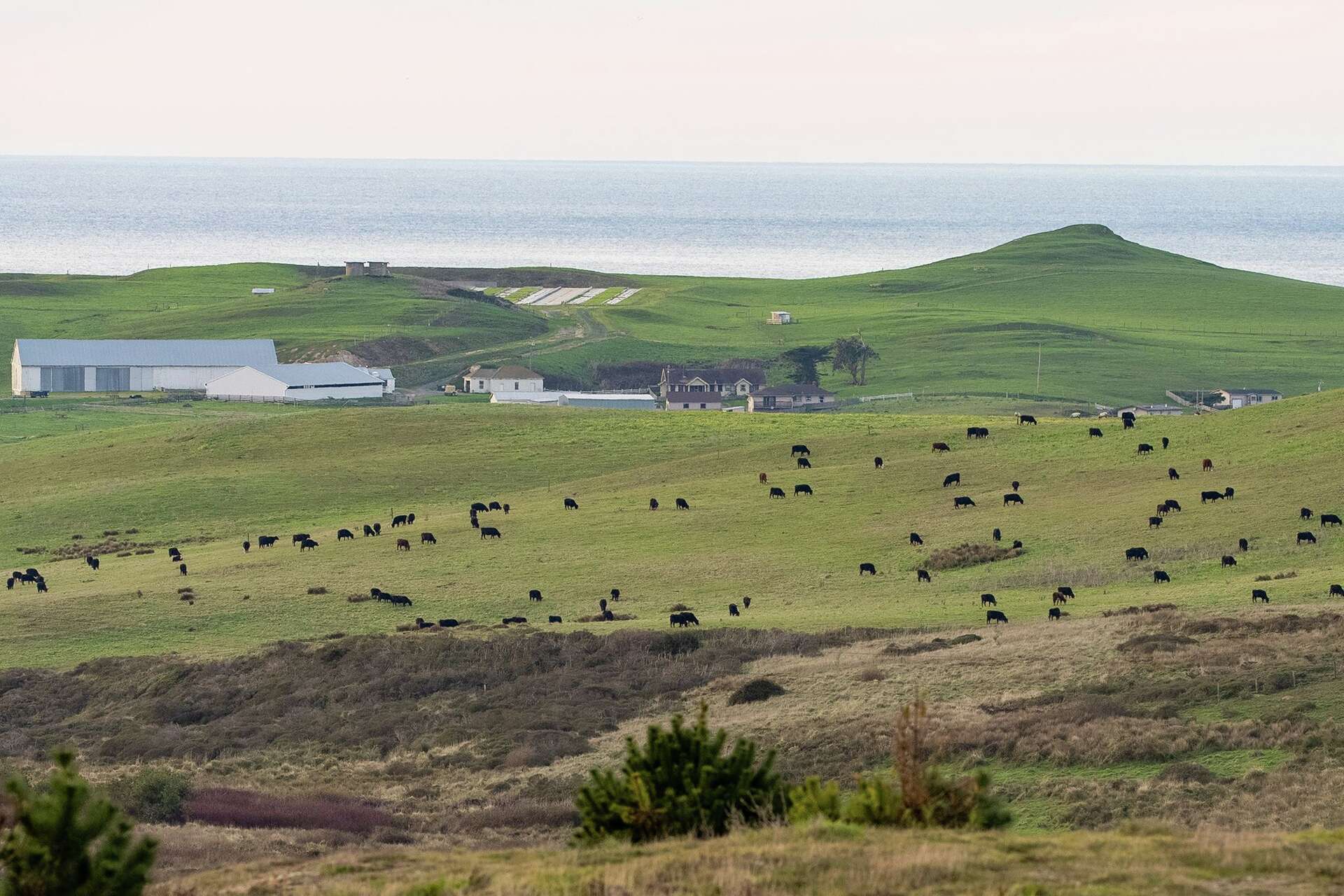 Point Reyes Ranching Last days on Point Reyes: Ranching families to depart after 167 years