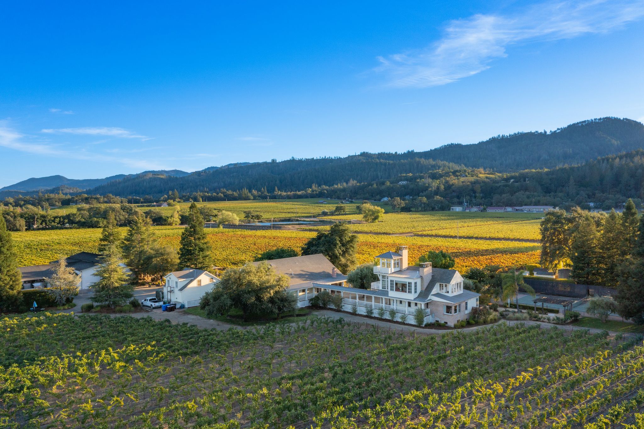 sfchronicle.com - Jess Lander - This maverick Napa Valley winery couldn't sell. Now, it's headed for auction - and more wineries could follow