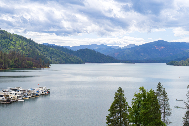 5-year-old dies after entering Shasta Lake without a life jacket