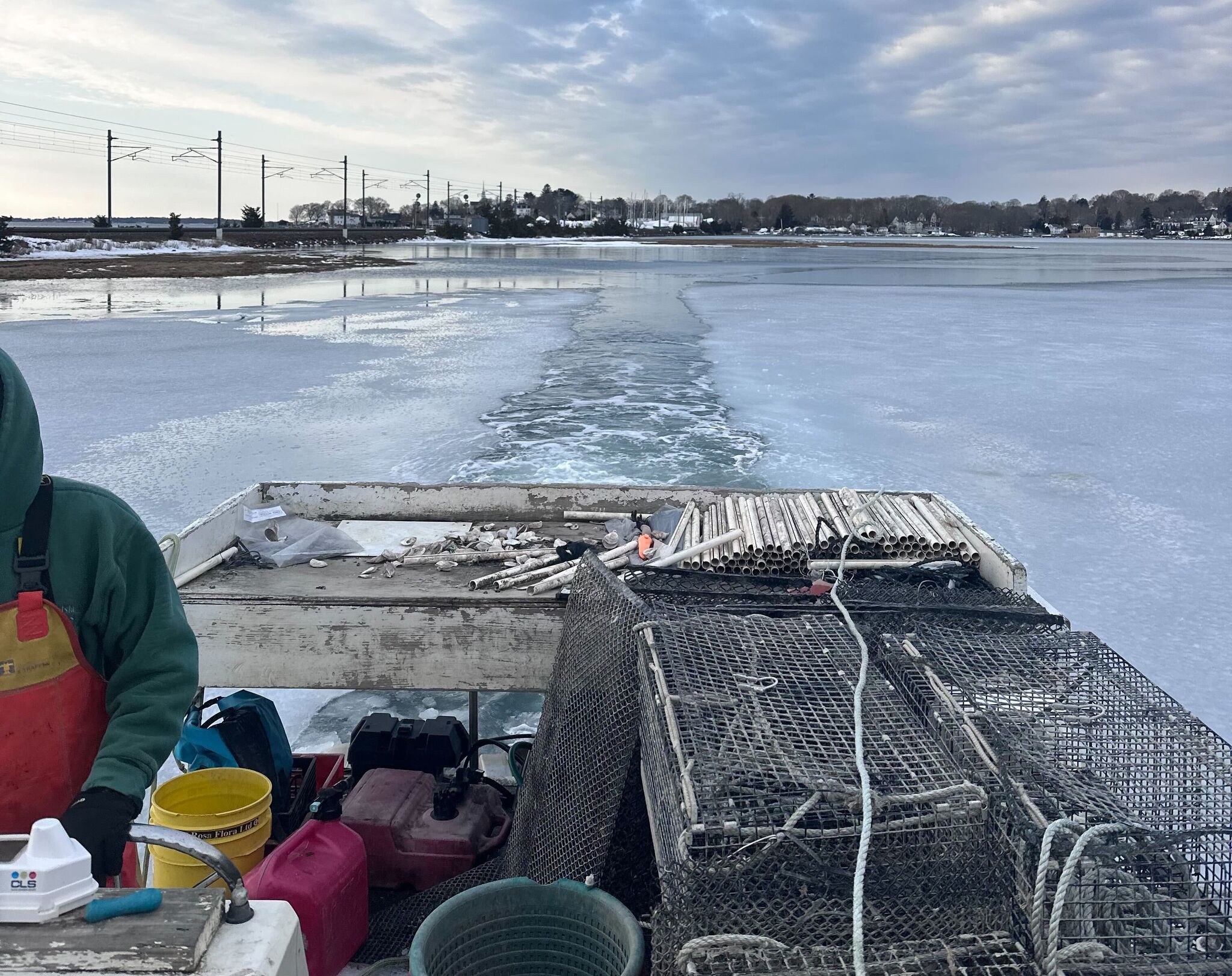 Here's why Connecticut oyster farms survived a brutal winter that hit others hard