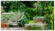 Master Gardener Hank Hammett’s personal garden