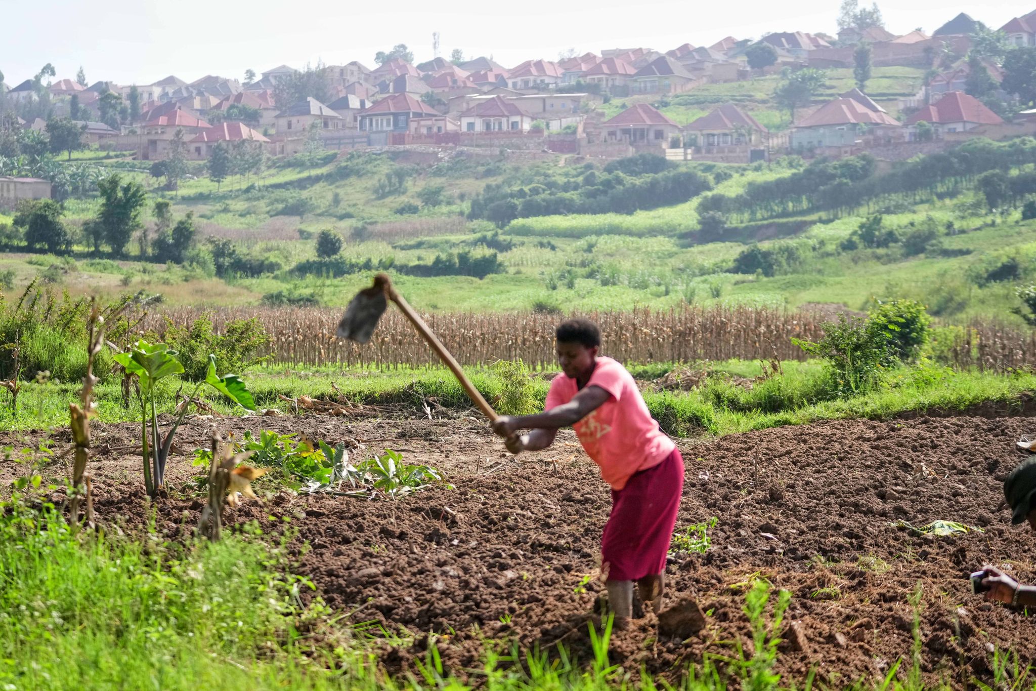 Rwanda tries to protect farmland in Africa's most densely populated nation