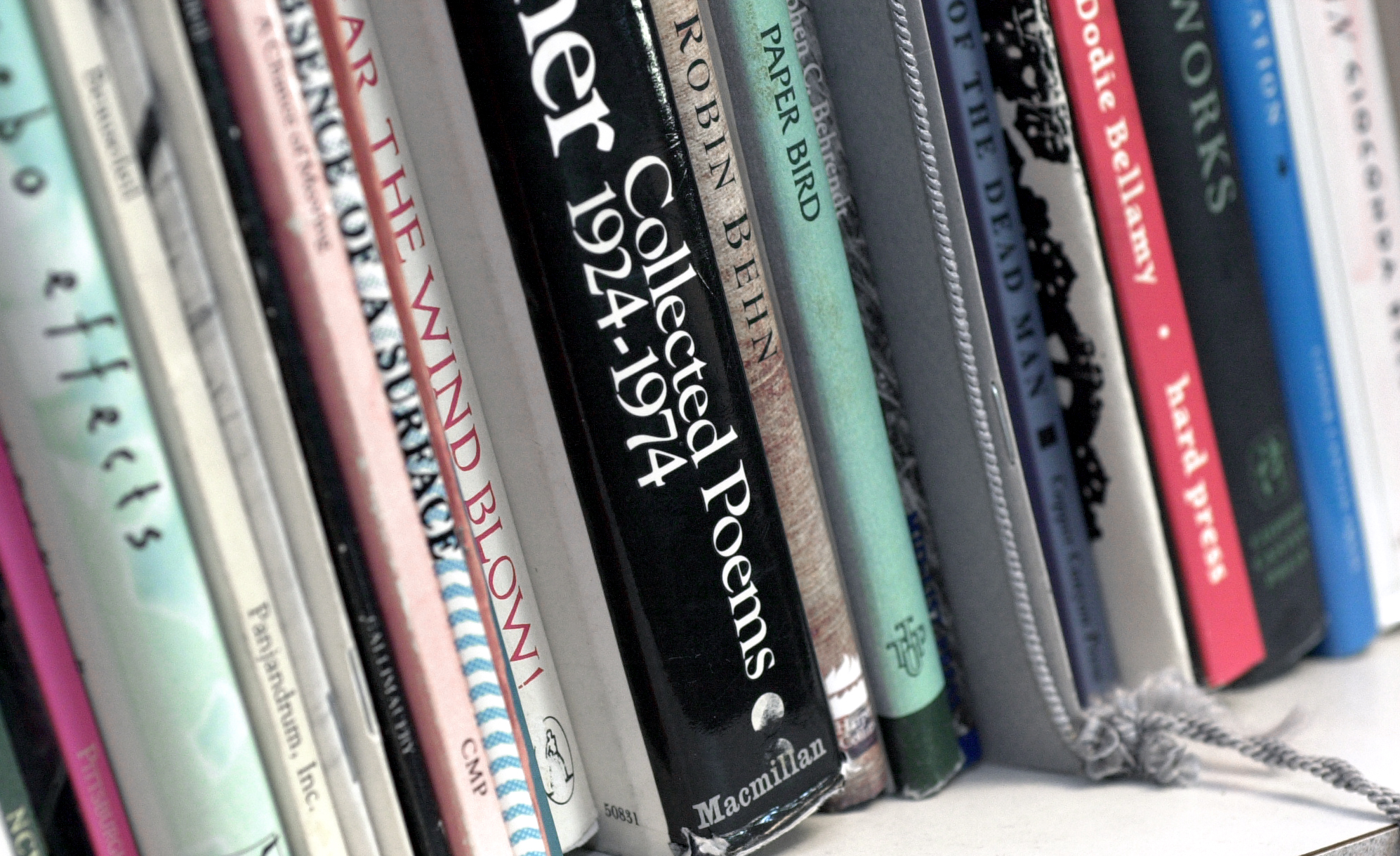 Opinion: Palo Alto College celebrates poets exploring identity