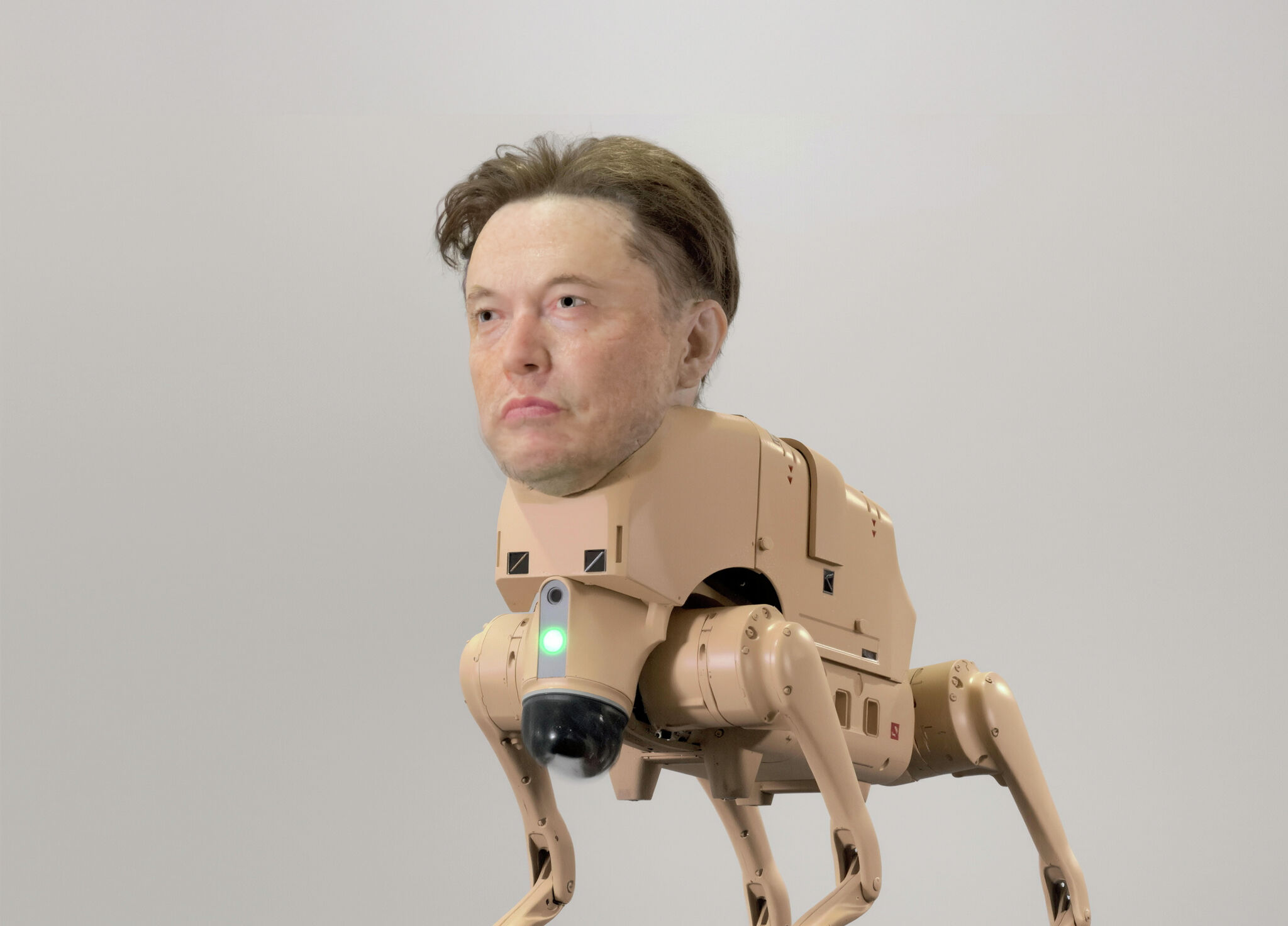 sfchronicle.com - Zara Irshad - Why a 'terrifying' Elon Musk robot dog is roaming San Francisco
