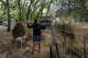 Karla Morales piles hay into troughs for her two horses and one pony as she does chores on her family’s property in Elgin, Tuesday, March 31, 2026. Karla and her father would alternate days they looked after their animals, but after his deportation the workload has fell to Karla.