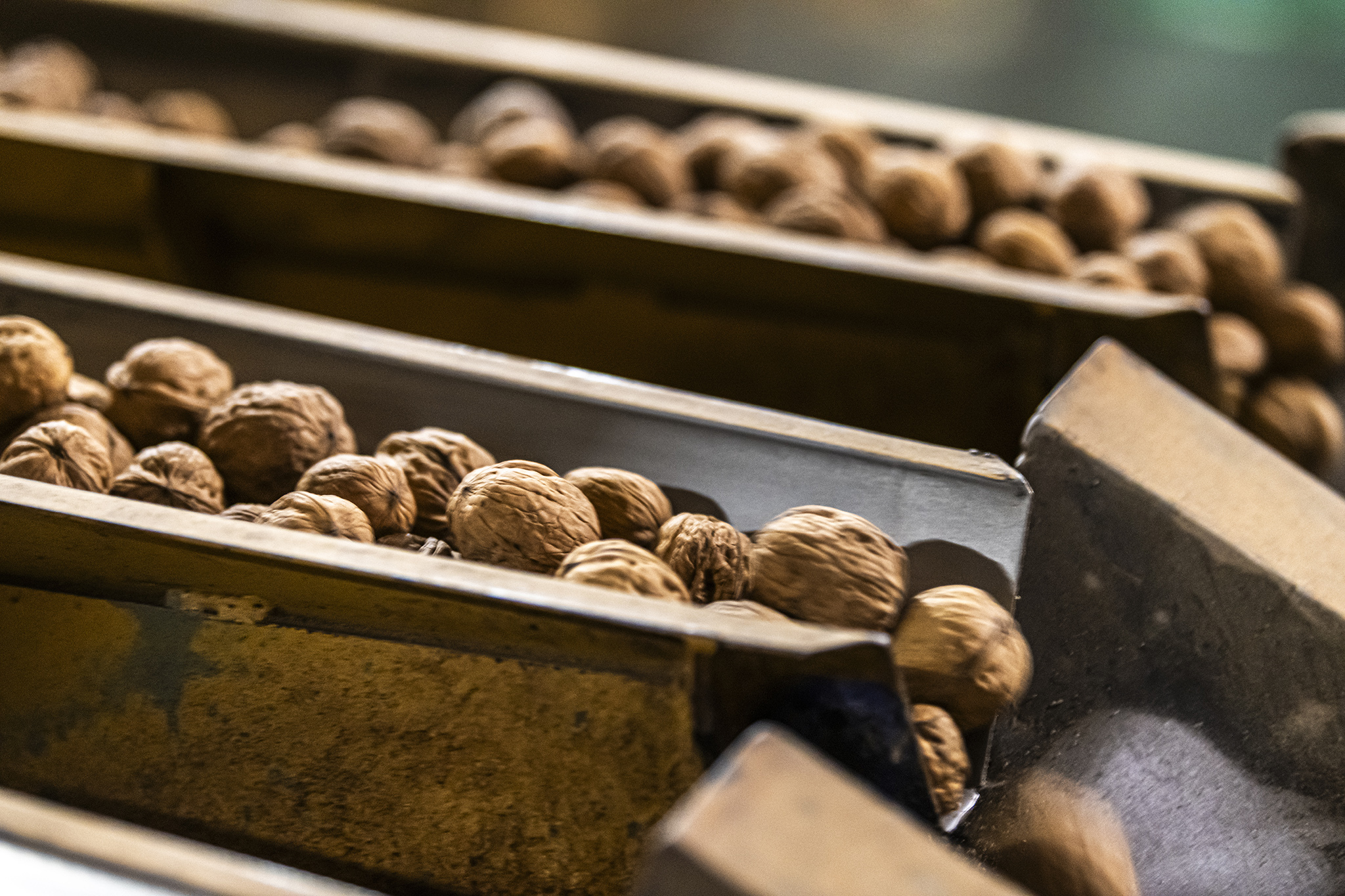 War in Iran sends Calif. farmers scrambling